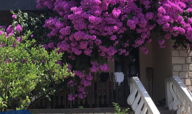 Smestaj Crna Gora, Privatni smestaj Budva, Kotor, Sutomore - Privatni Smestaj Crna Gora