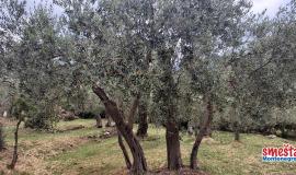 Smestaj Crna Gora, Privatni smestaj Budva, Kotor, Sutomore - Privatni Smestaj Crna Gora