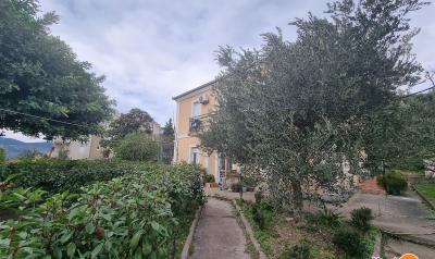 Old House 